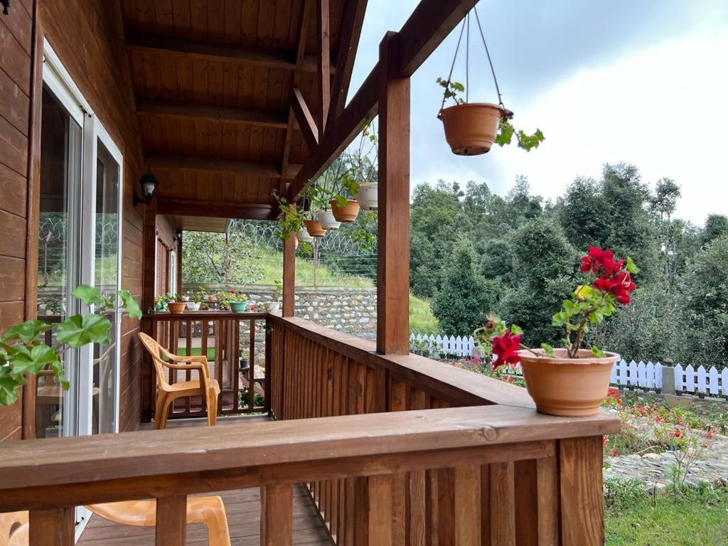 Vanprastha Resorts Dwarahat Exterior foto